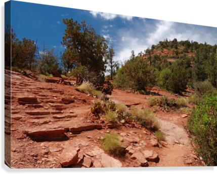 Sedona -9 Canvas Print