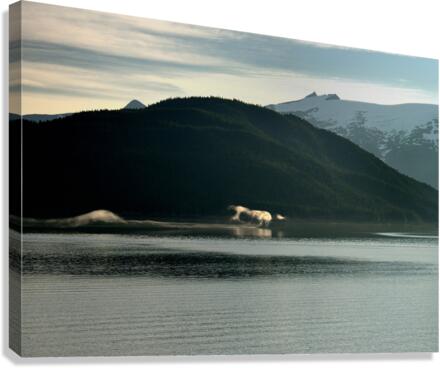 Alaska Canvas Print
