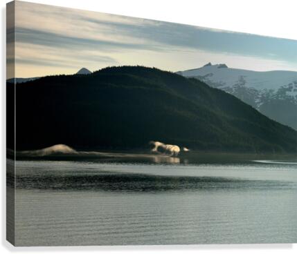 Alaska Canvas Print