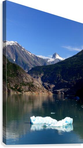 Alaska Canvas Print
