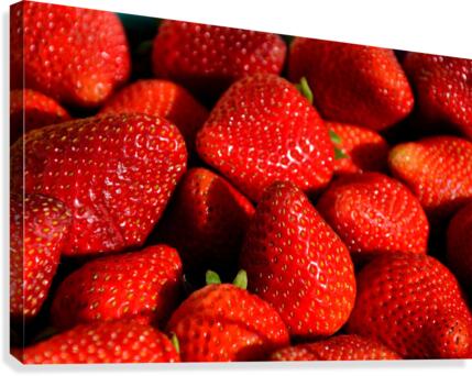 Strawberries   Canvas Print