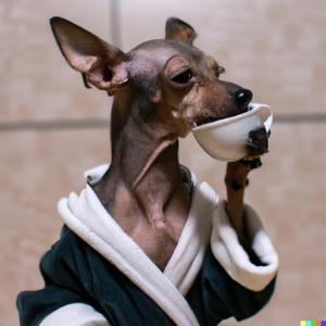 tiny dog in bathrobe drinking coffee