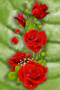 ROSE 2