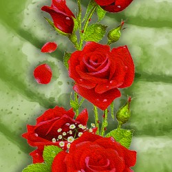 ROSE 2