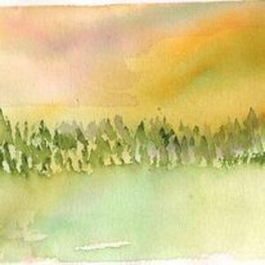 Trees: C-ville Green 