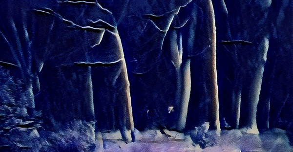 Midnight Snowfall Print