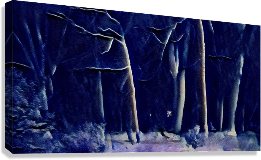 Midnight Snowfall Canvas Print