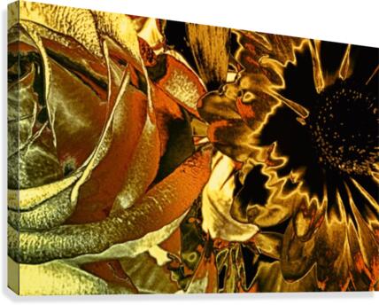 Just Golden  Canvas Print