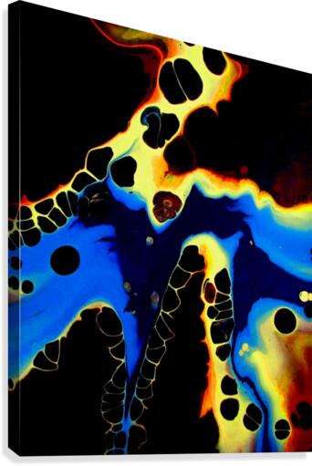 Moonshadow Canvas Print