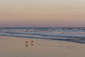 Gulf of AmErIcA