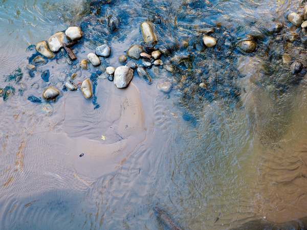 Canyon Floor by Baumann Gallery