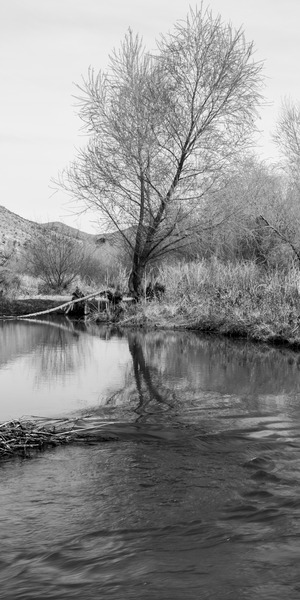 Washed Reflection Print