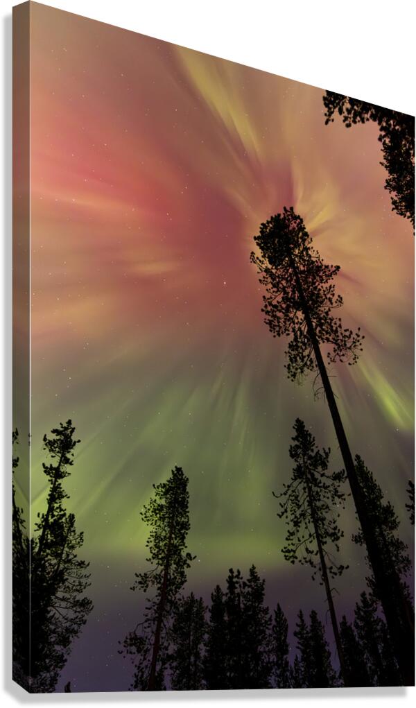 Aurora 1 Canvas Print