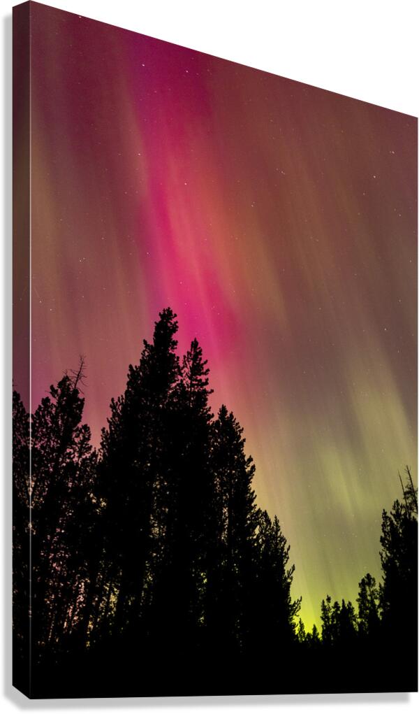 Aurora 3 Canvas Print