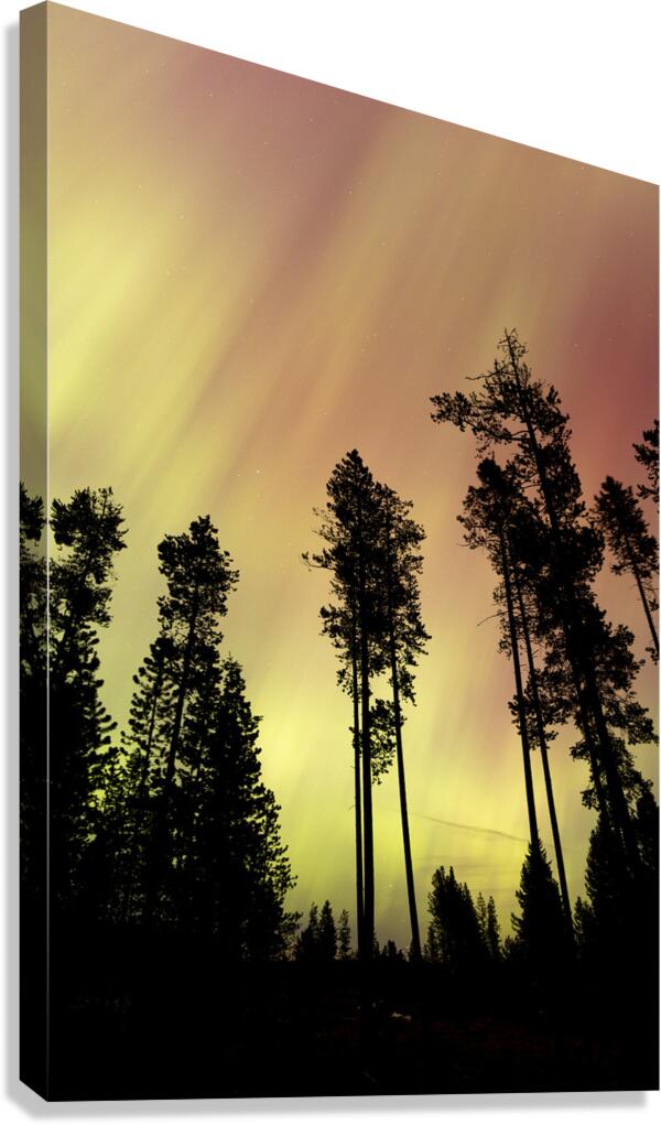Aurora 4 Canvas Print