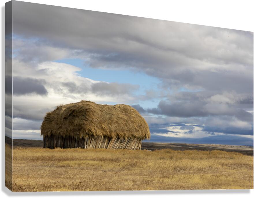 WYOMING Canvas Print
