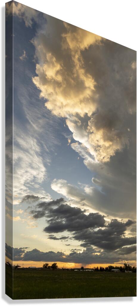 SHEESH Canvas Print