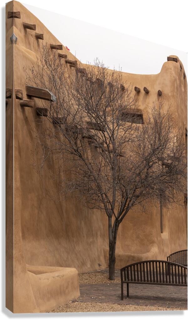 Adobe Tree Canvas Print