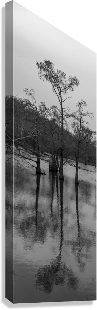 Bayou Canvas Print