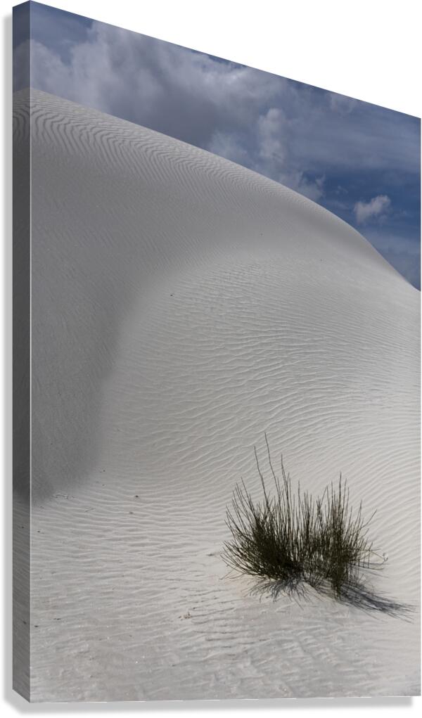 White Sand Canvas Print