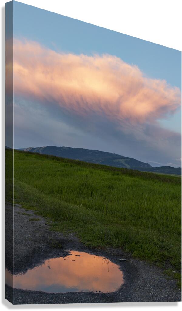 Puddle land Canvas Print