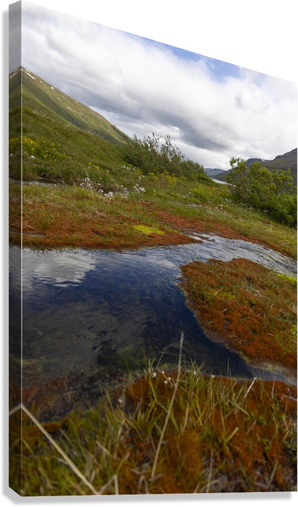Roadside Puddle Canvas Print