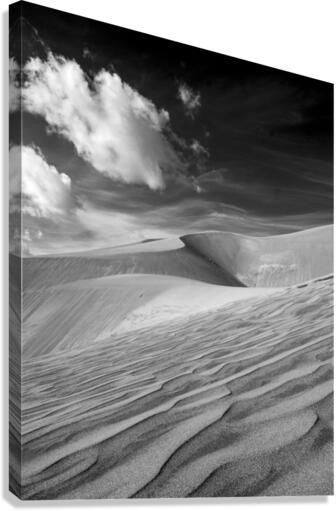 The Dunes Canvas Print