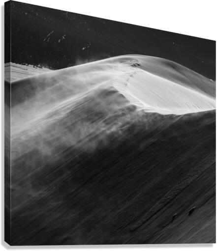 Sandy Canvas Print