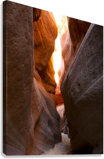 Peek-a-boo Canvas Print