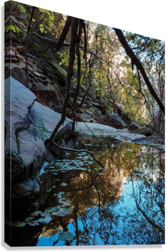Emerald Pools Canvas Print