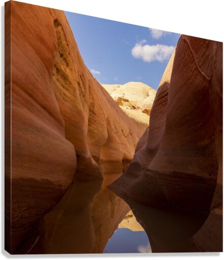 Cold Mirror Canvas Print
