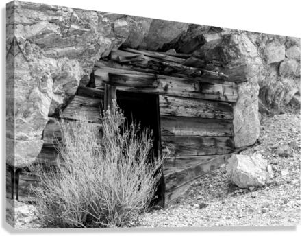 Dark Inside Canvas Print