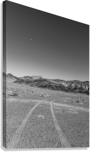Tracks Unchecked Canvas Print
