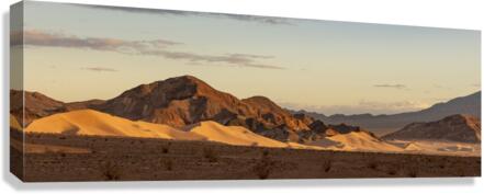Ibex Dunes Canvas Print