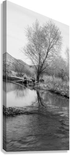 Washed Reflection Canvas Print