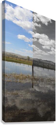 Fade to Gray Post Canvas Print