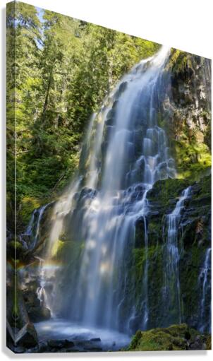 Proxy Rainbow Canvas Print