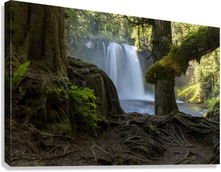 Natural Window Canvas Print