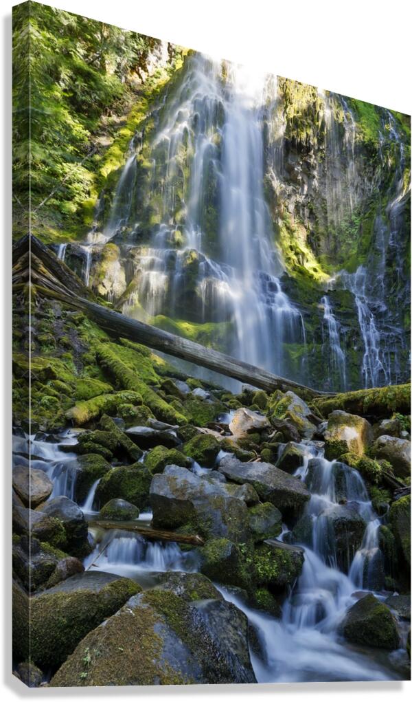 Proxy Falls Canvas Print