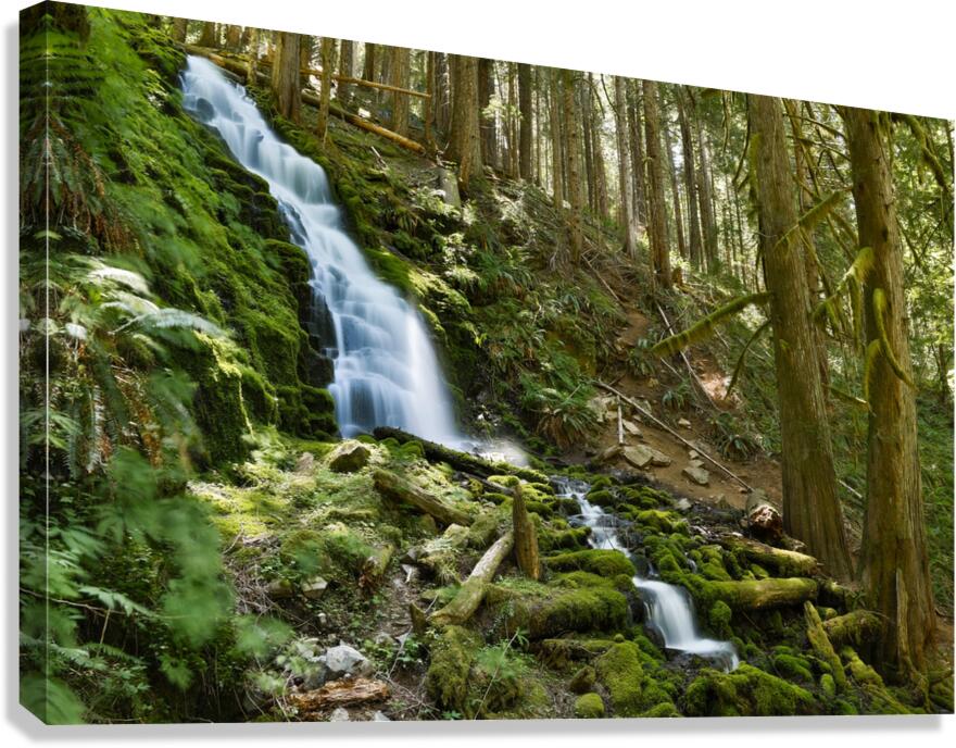 White Step Falls Canvas Print