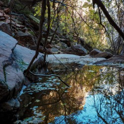 Emerald Pools