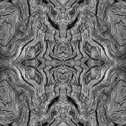 Forced Symmetry Wood