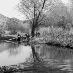 Washed Reflection