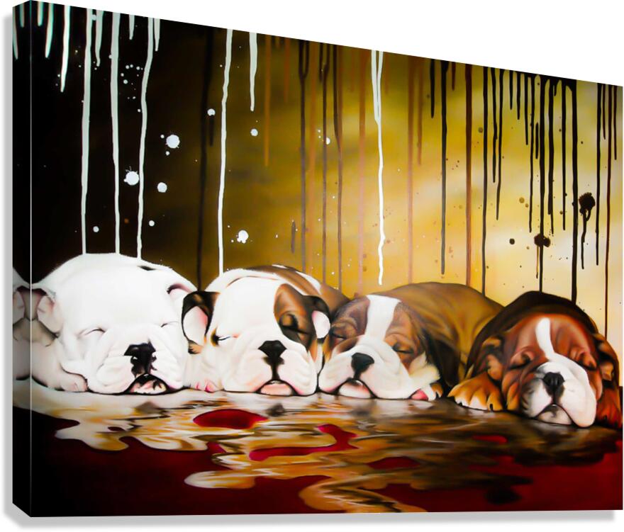 Nap Time Canvas Print