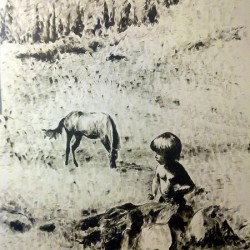 A Boy and a Horse
