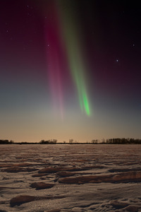 Aurora Dreams: Enchanting Northern Lights Dance Over a Frozen Canadian Lake