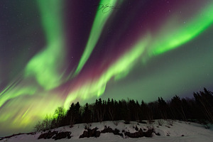 Northern Lights over Pinehouse Lake Saskatchewan: Mesmerizing Display