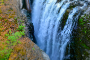 Franks Falls: Enchanting Cascades of Vancouver Islands Vibrant Beauty