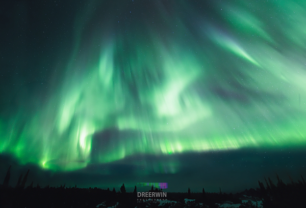 Spectacular Northern Saskatchewan Aurora Borealis Print for Sale  ✨ by Dre Erwin Photography