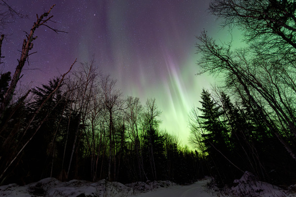The Pinehouse Lake Aurora Borealis by Dre Erwin Photography